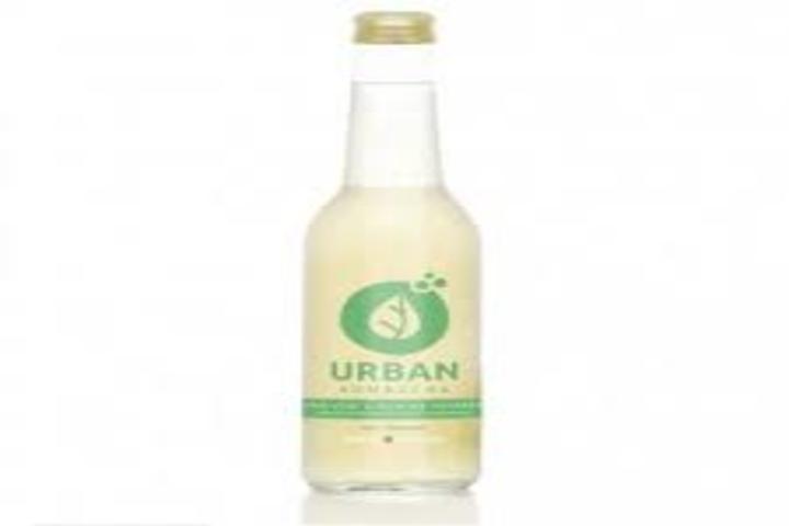 Peppermint Urban Kombucha - Street Gourmet
