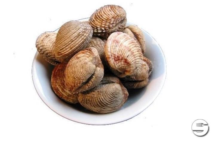 Venus Clams - Café du Centre