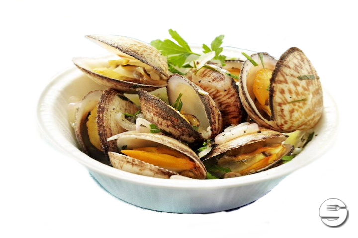 Comb Shell - Café du Centre