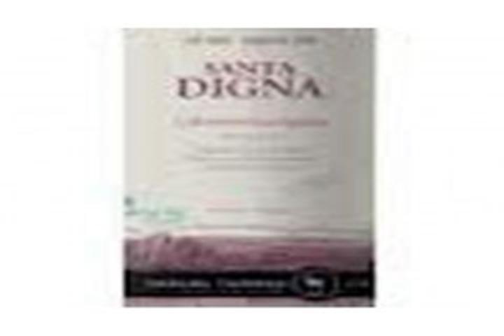 Cabernet Sauvignon Santa Digna - Pasta People