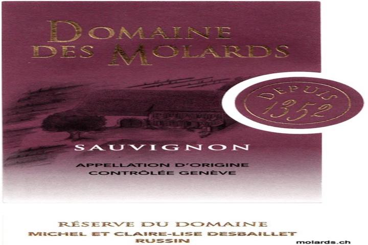 Domaine des Molards / Sauvignon - Planeta Rodizio *
