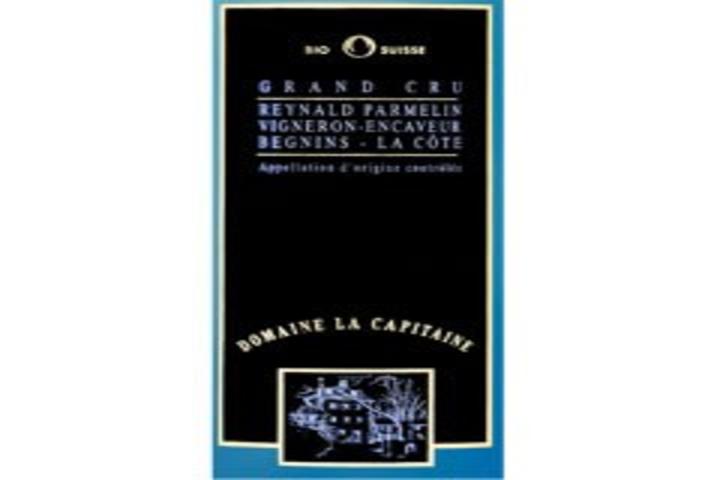 Sauvignon Gris, Domaine La Capitaine, R. Parmelan - Planet Caviar