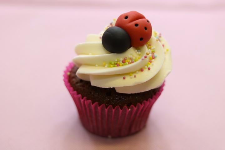 Cupcake Marienkäfer - Happy Beck