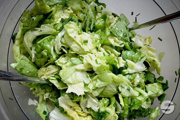 Green Salad - Nachtigall