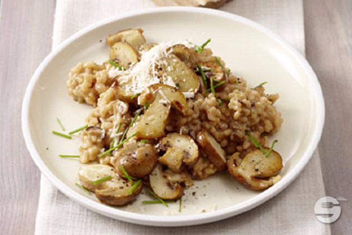 Pilz-Risotto - Nachtigall