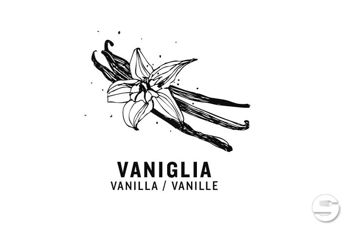 Vanille (1/2 Gelati Box) - Gelati Tellhof