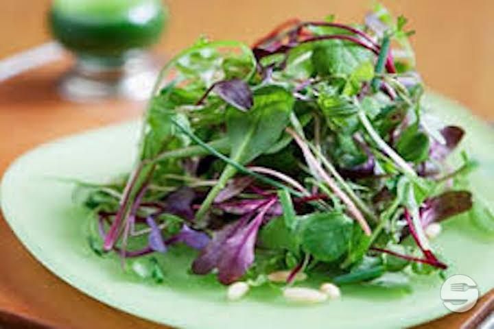 Green Salad - The Food Bus (Tivoli)