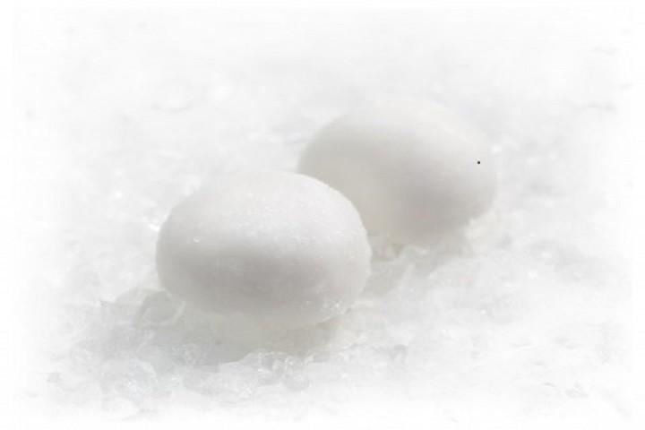 MoshiMoshi - Sushitime
