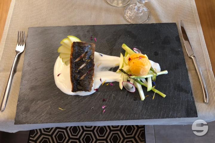 Trancio di salmone scottato con mele Smith e yogurt - Al Quadrato