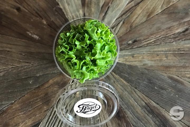Green Salad - Bagel On The Way