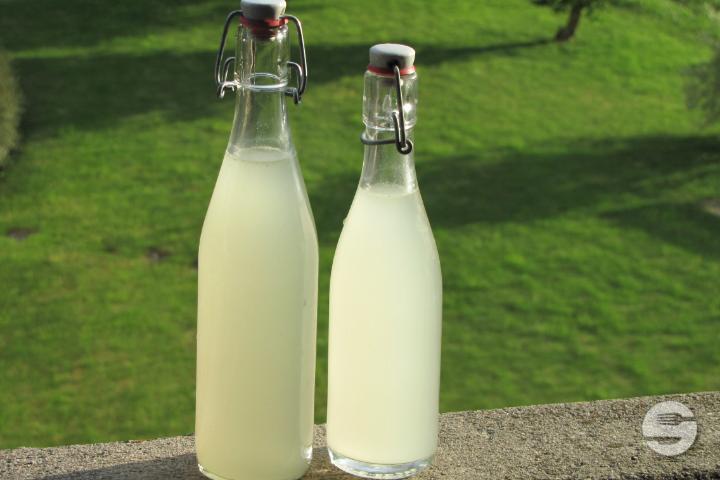Homemade Lemonade - Culture Café