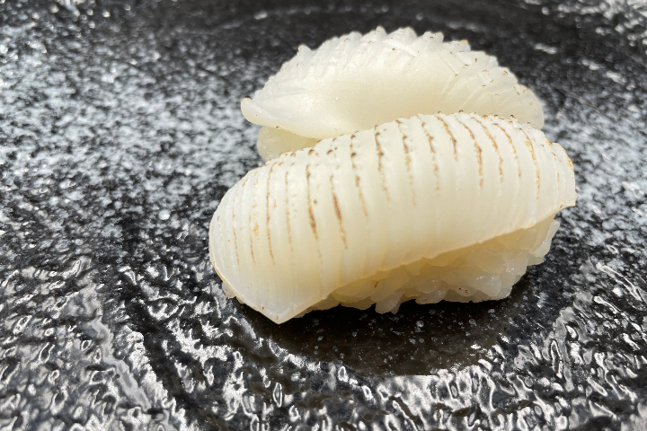 N2. Calamars - Le Basilic