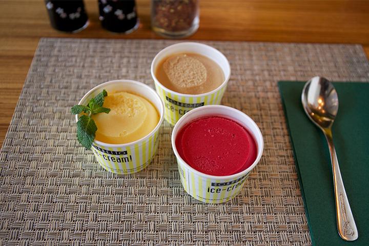 Sorbet Portion - Nooba