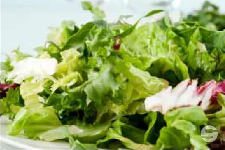 Grüner Salat - Pro Pizza