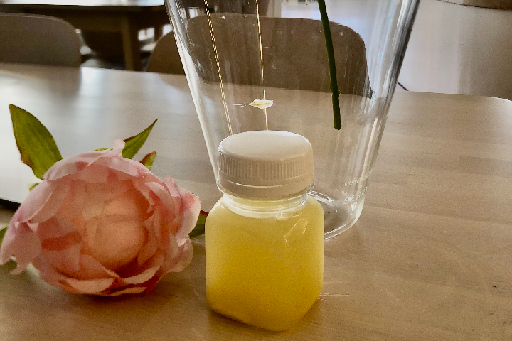 Lemon Ginger Shot - Alive