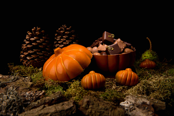 Citrouilles Halloween - Stettler Castrischer Berne