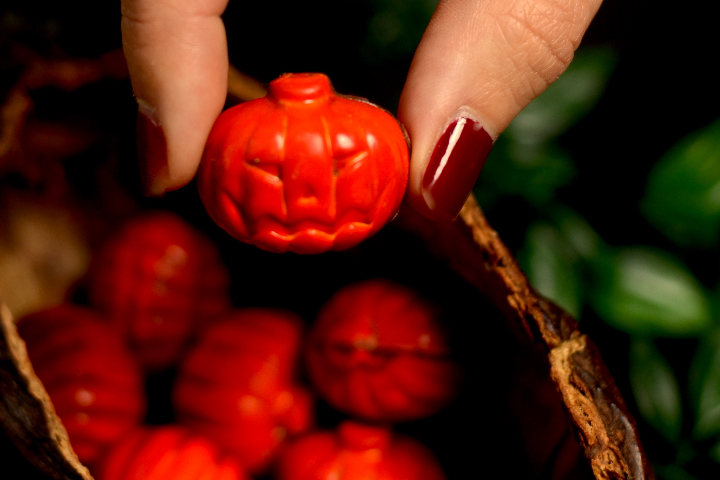 Minis Citrouilles Halloween - Stettler Castrischer Berne