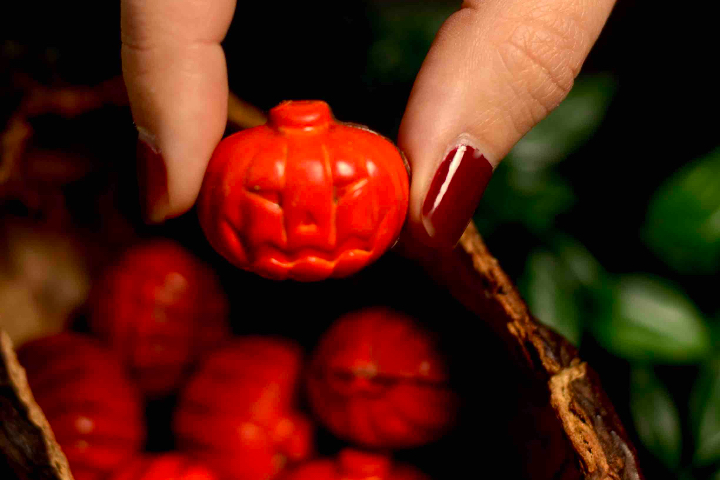Minis Citrouilles Halloween - Stettler Castrischer Blanc