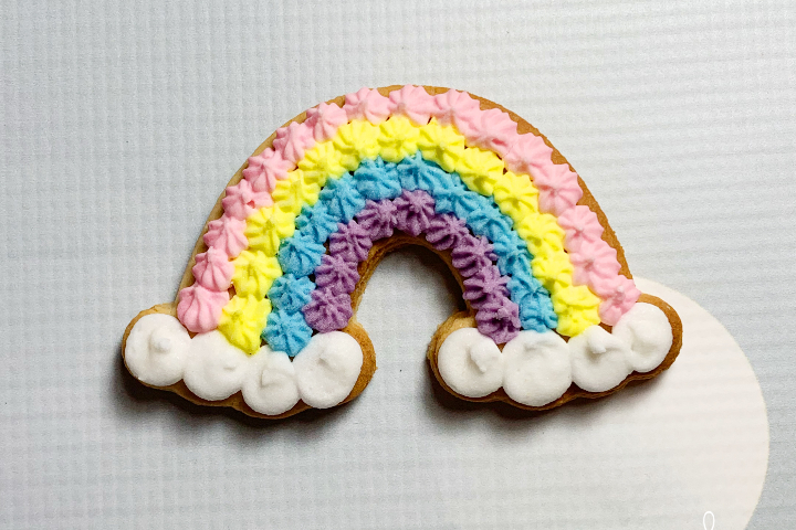 Biscuit Arc-en-ciel - Royaume MELAZIC Genève