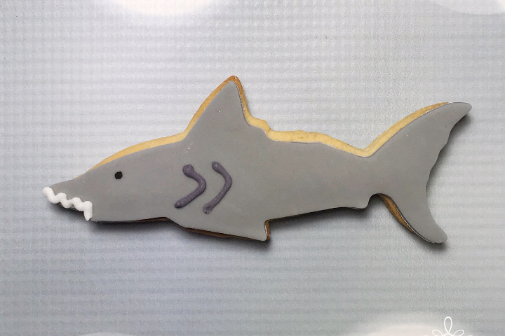 Biscuit Requin - Royaume MELAZIC Genève