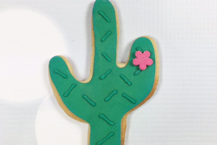 Biscuit Cactus - Royaume MELAZIC Genève