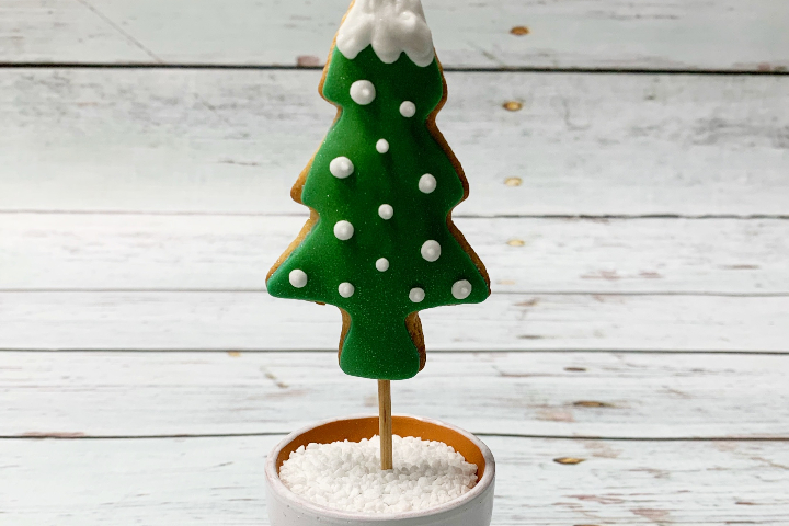 Biscuit en pot "Sapin" - Royaume MELAZIC Lausanne