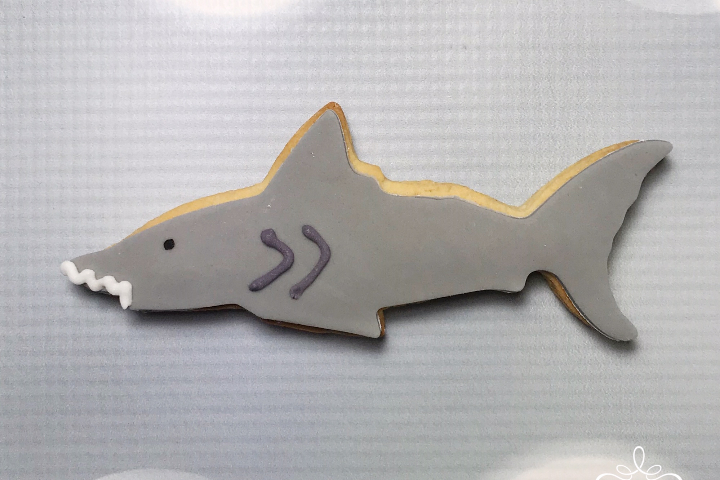 Biscuit Requin - Royaume MELAZIC Lausanne