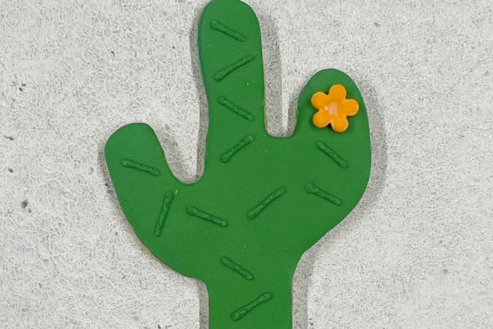 Biscuit Cactus - Royaume MELAZIC Lausanne