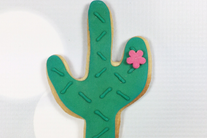 Biscuit Cactus - Royaume MELAZIC Lausanne