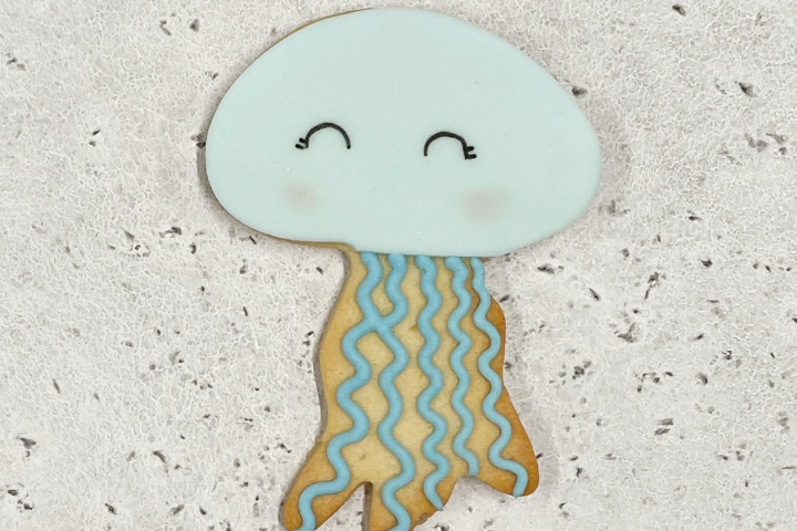 Biscuit Méduse - Royaume MELAZIC Lausanne