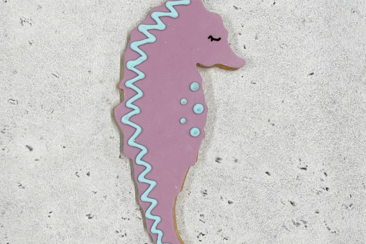 Biscuit Hippocampe - Royaume MELAZIC Lausanne