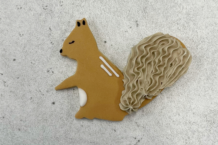 Biscuit écureuil - Royaume MELAZIC Lausanne