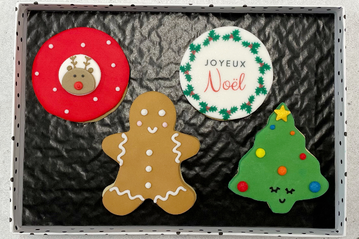 Boîte de biscuits Joyeux Noël - Royaume MELAZIC Lausanne