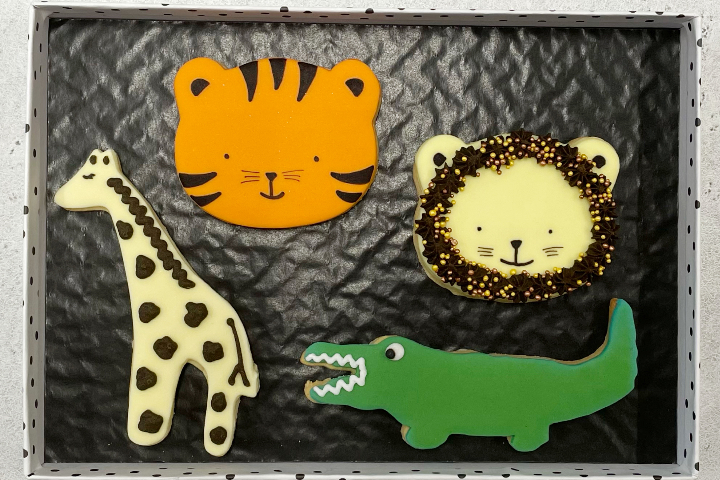 Boîte de biscuits Jungle - Royaume MELAZIC Lausanne