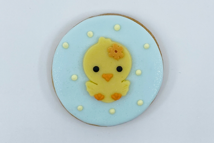 Biscuit Poussin - Royaume MELAZIC Lausanne