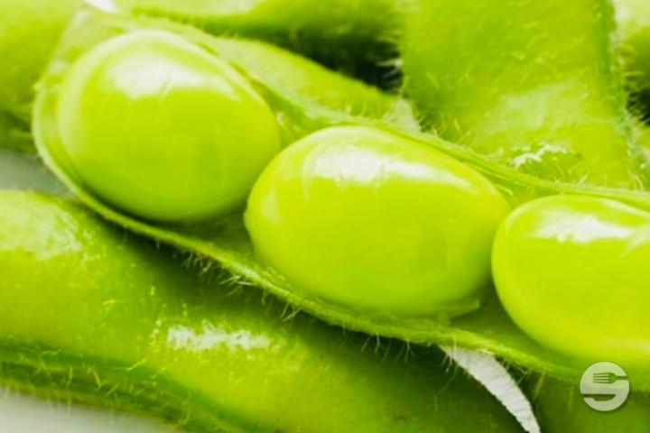Edamame - Wasabi Sushi