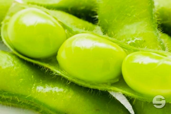 Edamame - Wasabi Sushi