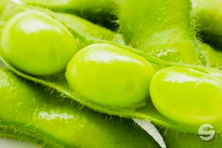 Edamame - Wasabi Sushi