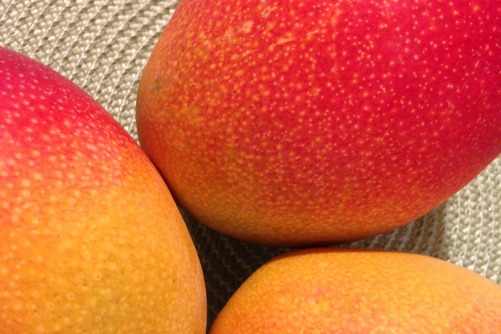 Mangue, sorbet de fruit. - Puro Gelato