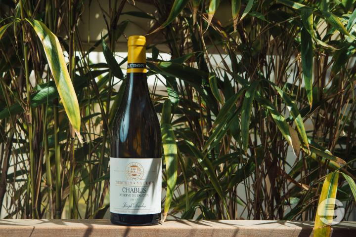 Chablis Réserve de Vaudon - Papa Greko by La Tour du Molard