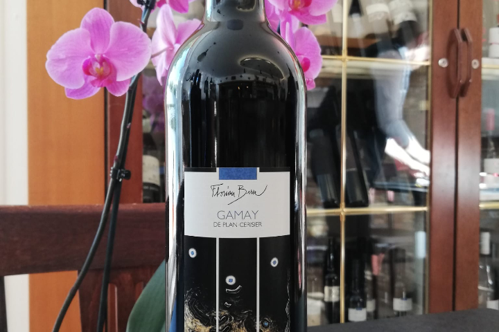 Gamay de Plan Cerisier 75 - Le Bourg-Ville