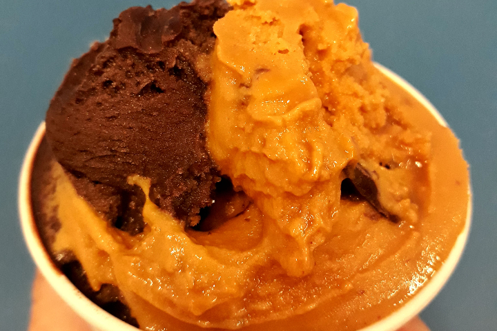 Homemade ice cream cup 150 g - El Gaucho