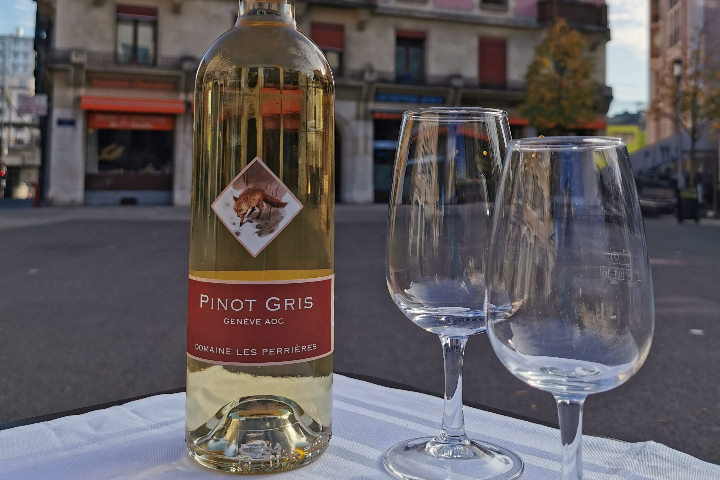 Pinot Gris - Saveurs & Couleurs