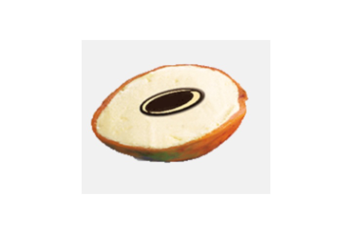 Mango ice cream in mango shell - Joker Pizza