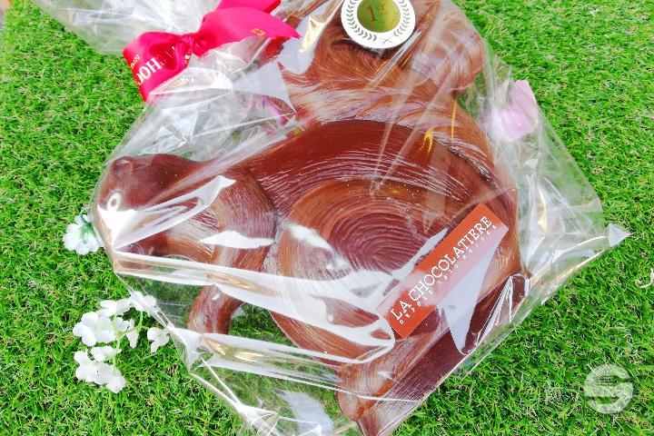 Ecureuil Grand - La Chocolatière
