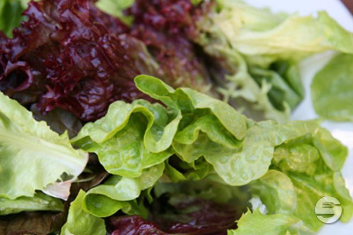 Salade verte - Le Crystal