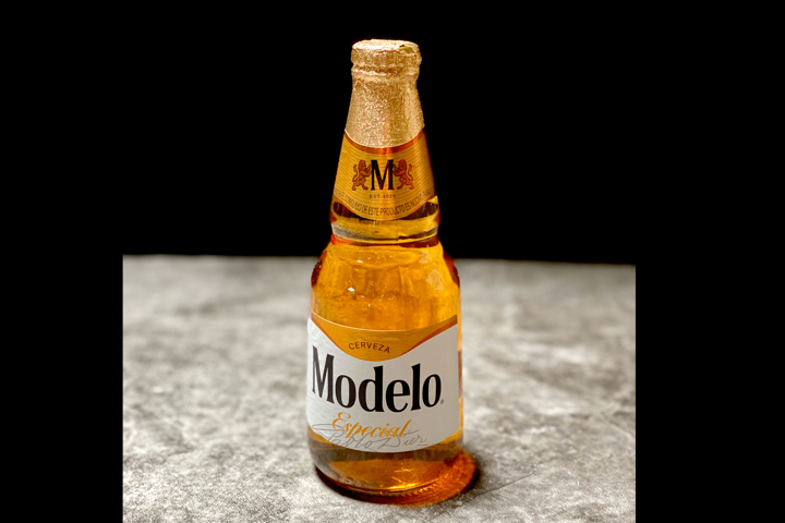 Modelo Especial - El Catrín