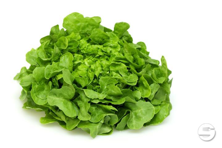 Green Market Salad - Bombay Delice