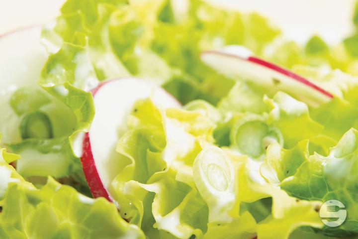 Salade verte - Jet Pizza Montreux