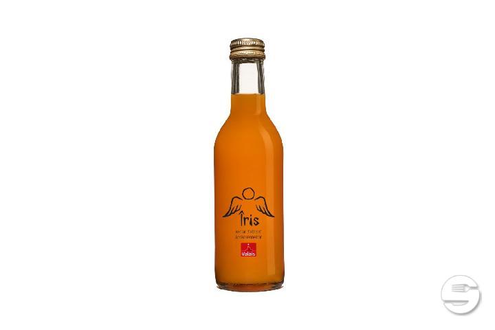 Iris Apricot Nectar - Les Philosophes